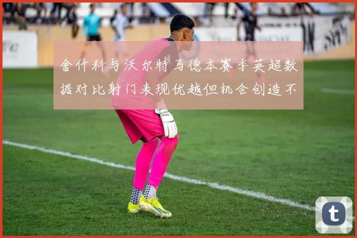 舍什科与沃尔特马德本赛季英超数据对比射门表现优越但机会创造不足