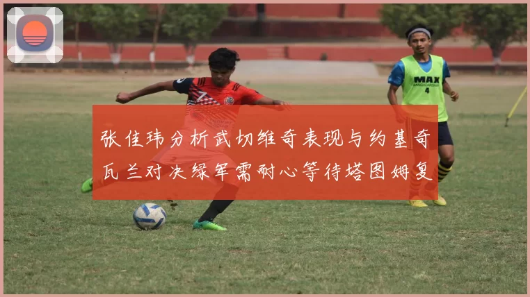 张佳玮分析武切维奇表现与约基奇瓦兰对决绿军需耐心等待塔图姆复出