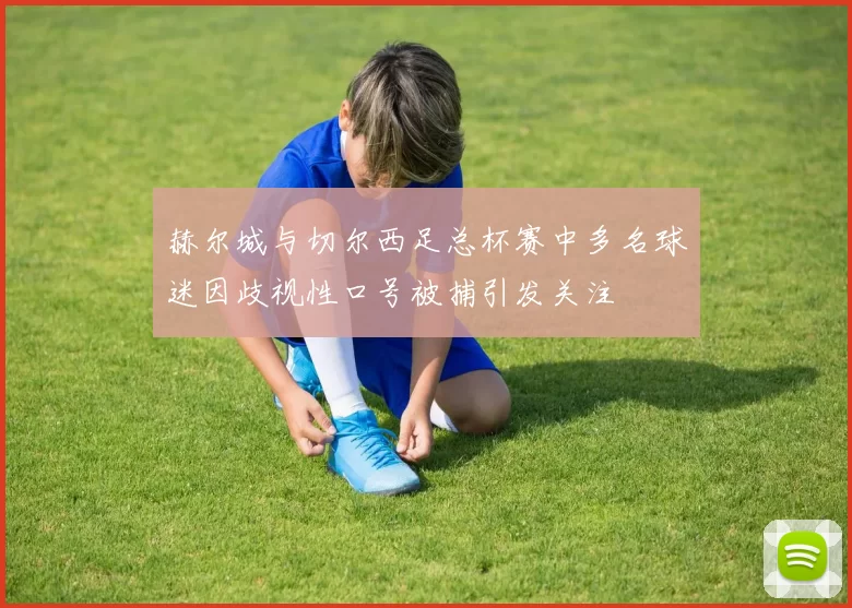 赫尔城与切尔西足总杯赛中多名球迷因歧视性口号被捕引发关注